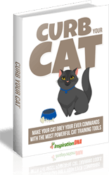 Controla a tu Gato: Guía de Comportamiento Felino