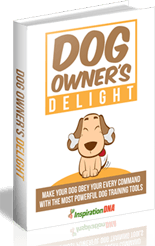 Delicias para Dueños de Perros: Guía de Cuidado Canino